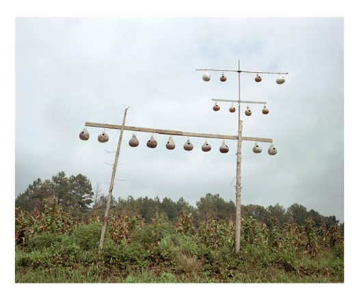 Gourd Tree, near Fayette, Alabama, 1988, Digital pigment print on Hahnemuhle paper