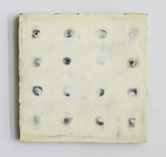 Spring Thaw, 1998, Seeds, encaustic pigment on panel