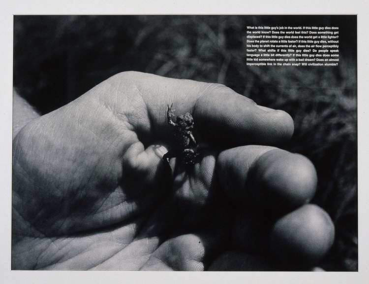 David Wojnarowicz, What is this little guy&#039;s job in the world, 1990