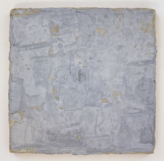 Seed Garden, 1992, Seeds, encaustic pigments on canvas on panel