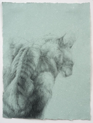 Marzocco, 2011, Pastel on paper