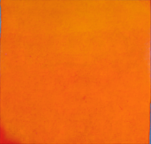 Grande arancio, 2007, Acrylic on canvas