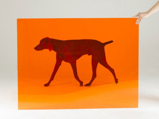 Card, 2008, Pigment print